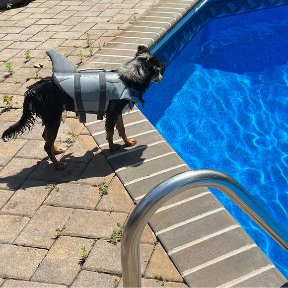 Meet your Posher, Danielle - Picture 4 of 11